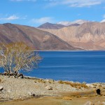 Ladakh4